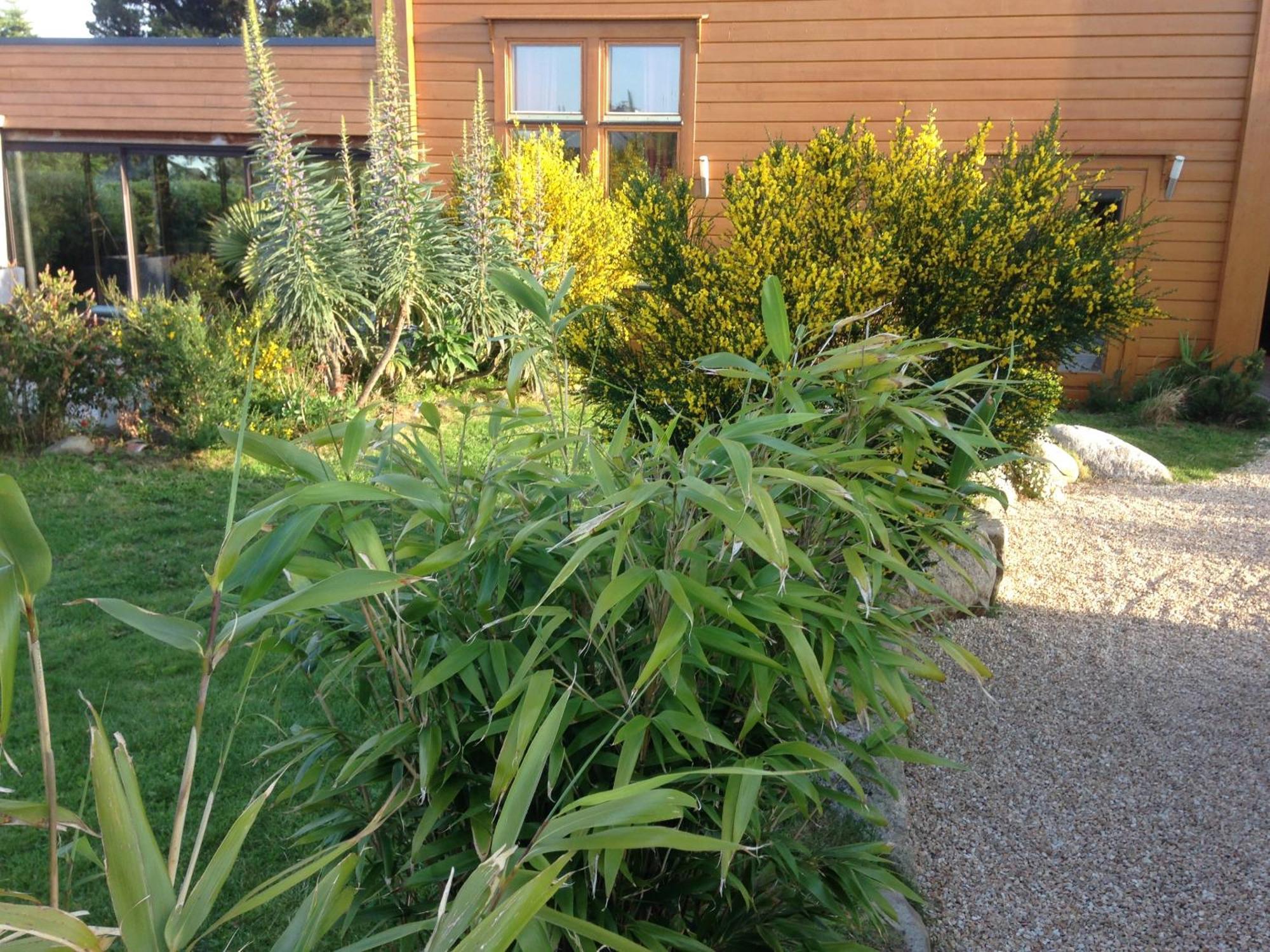 Les Villas d' Onalou Port Blanc Penvénan Extérieur photo
